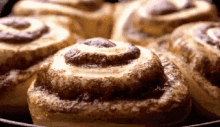 cinnamon rolls being baked