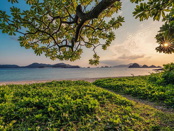 View of a lake, grass, and trees