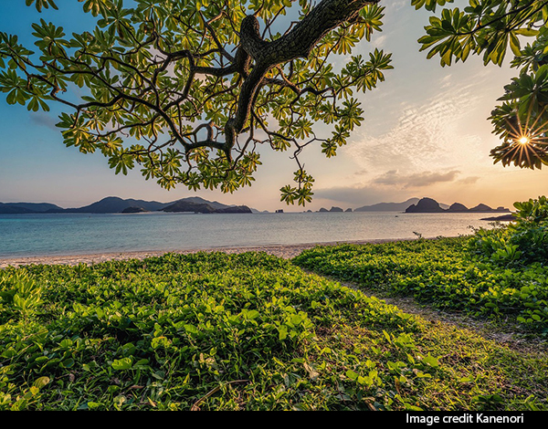 View of a lake, grass, and trees