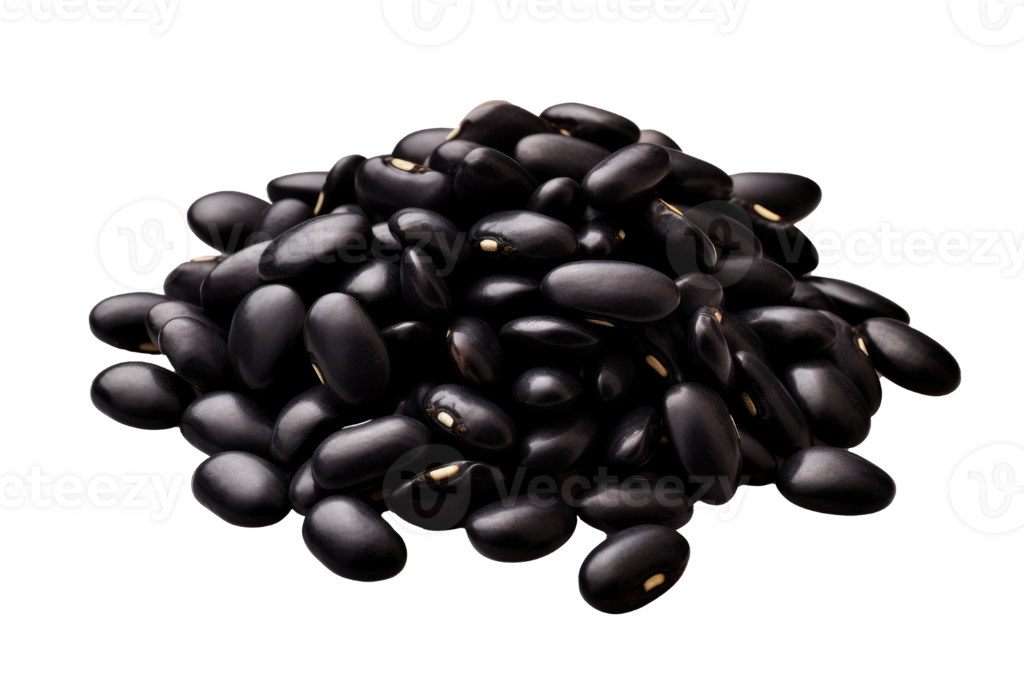 Picture of black beans