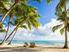 Tropical beach with palms scene
