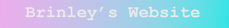 website header