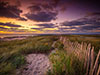 Cape Cod beach at sunset