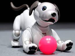 Picture of white dog robot