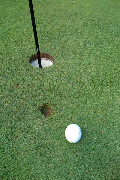 golf ball on the green in front of the hole