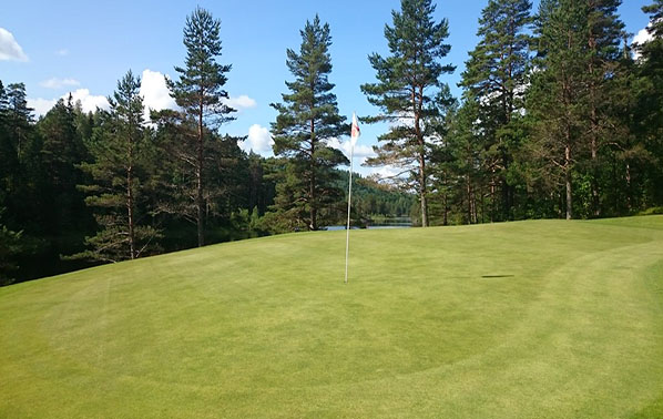 golf course green with flag in the middle