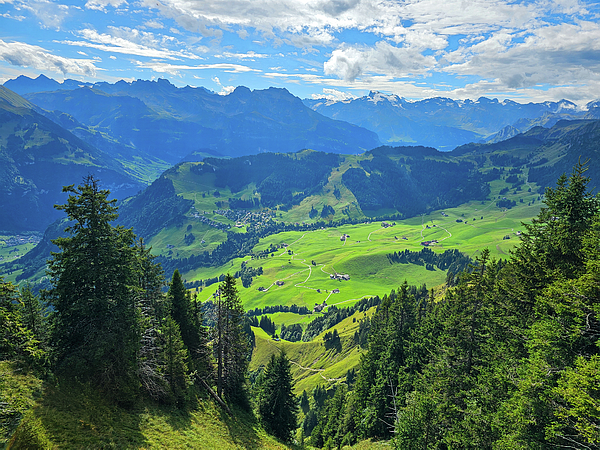 Green valley surrounded by trees and large green mountains