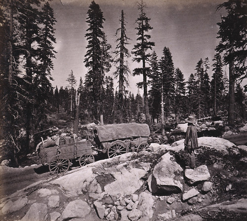 Image of The Donner Party