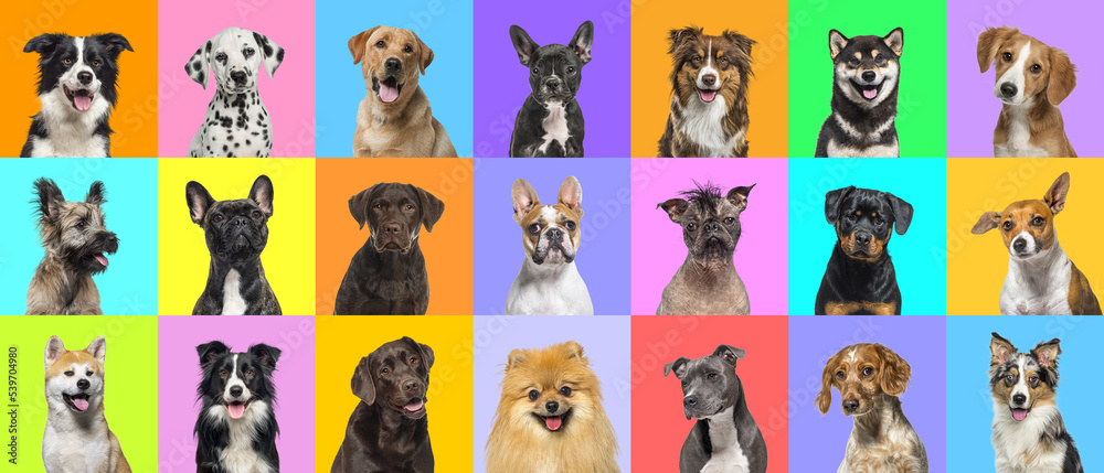 Composite Image of the Planets