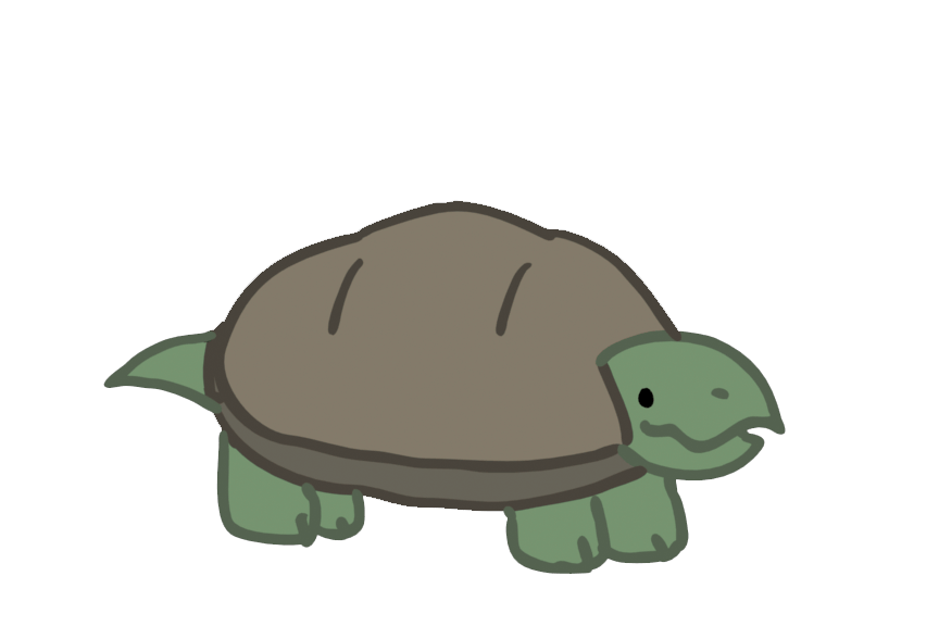 green turtle