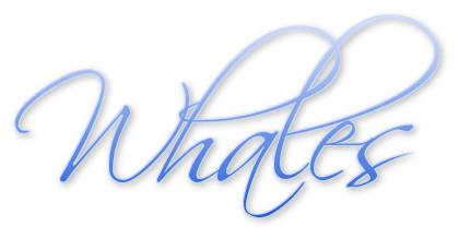 whales in blue cursive font