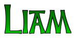 Liam in cool font