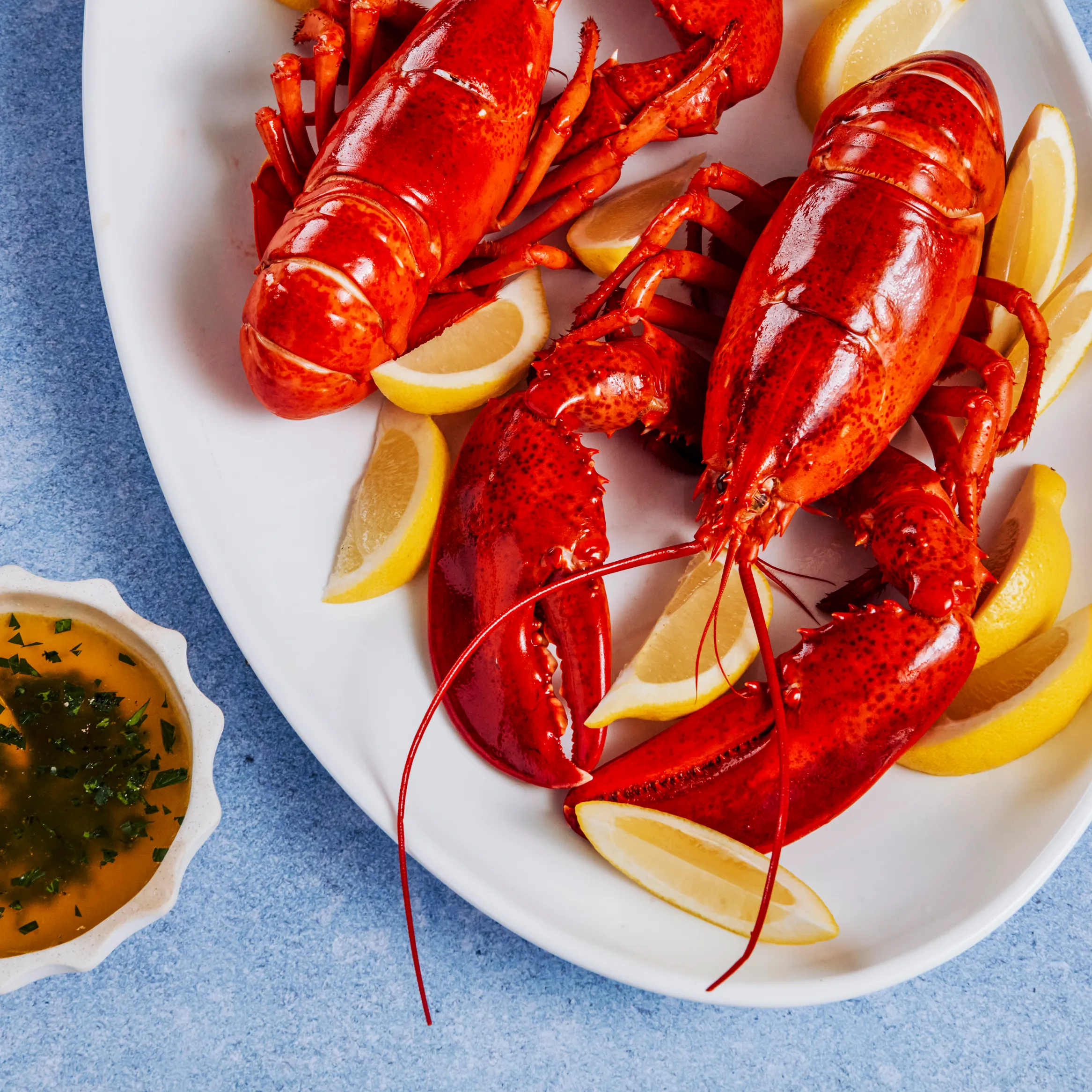 Lobster on plate