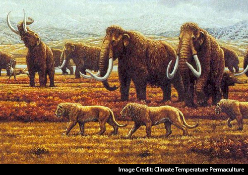 Large tusked mammoths in a Savannah.