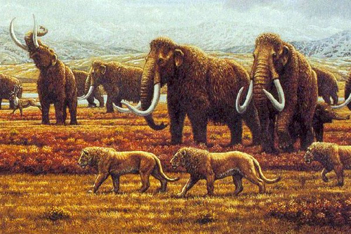 Large tusked mammoths in a Savannah.