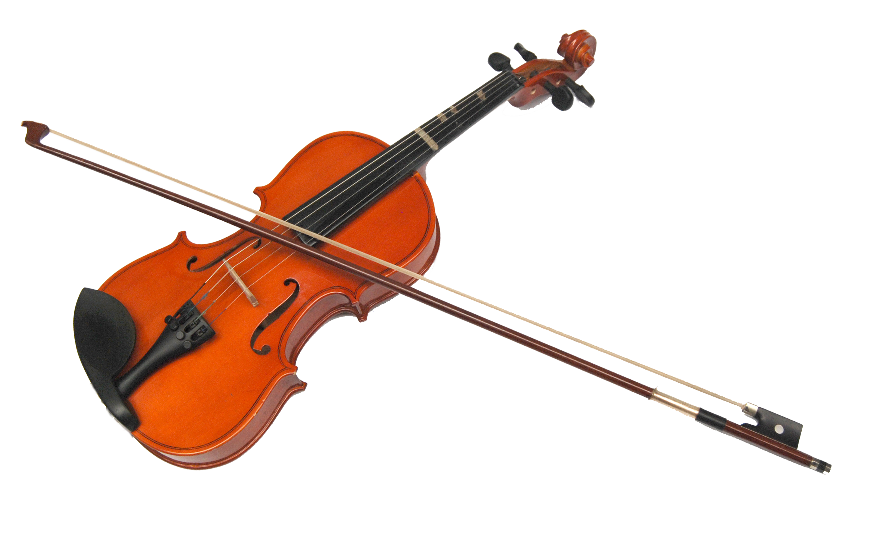 violin