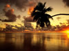 Tropical beach at sunset scene